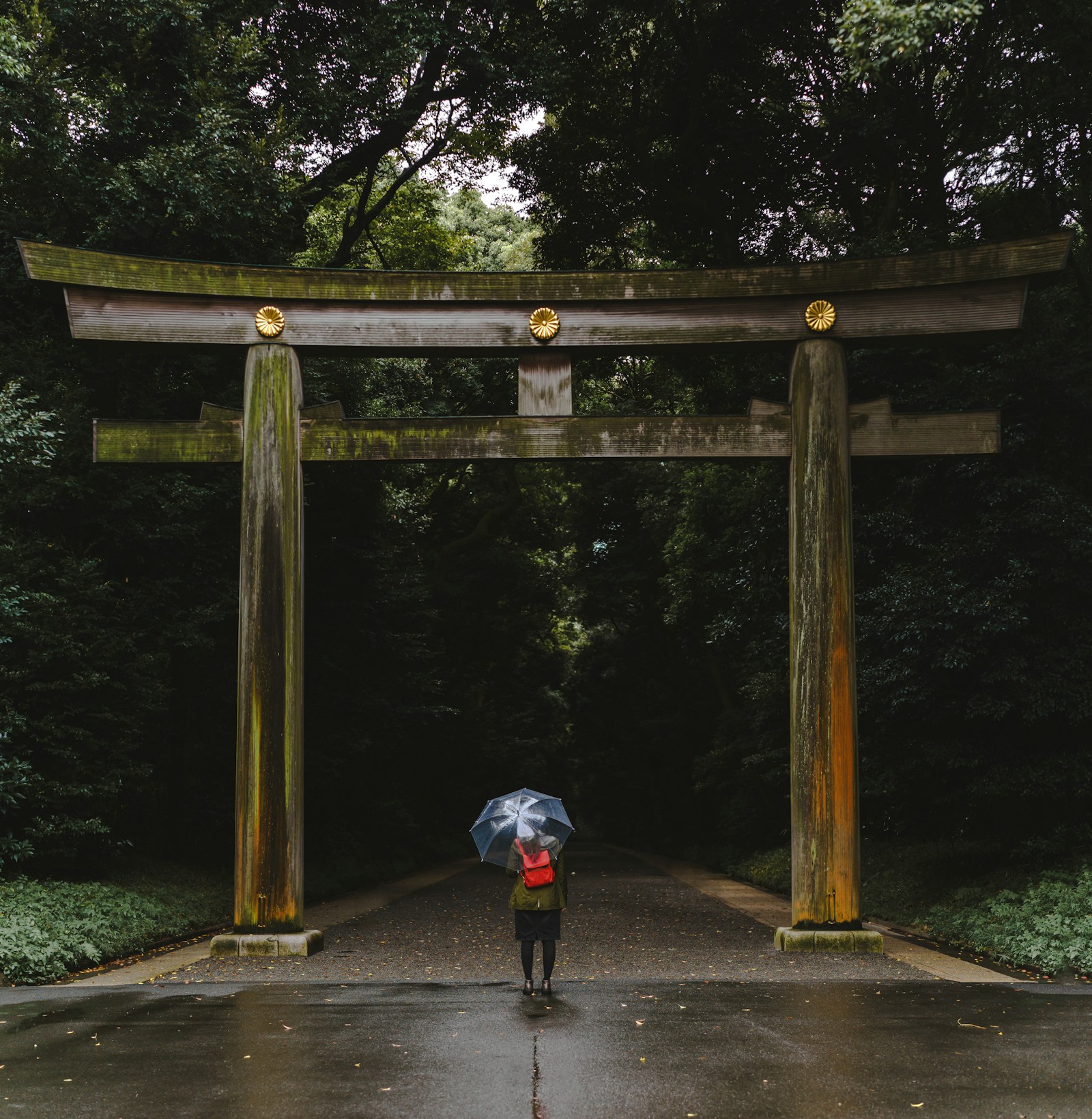 明治神宮の鳥居