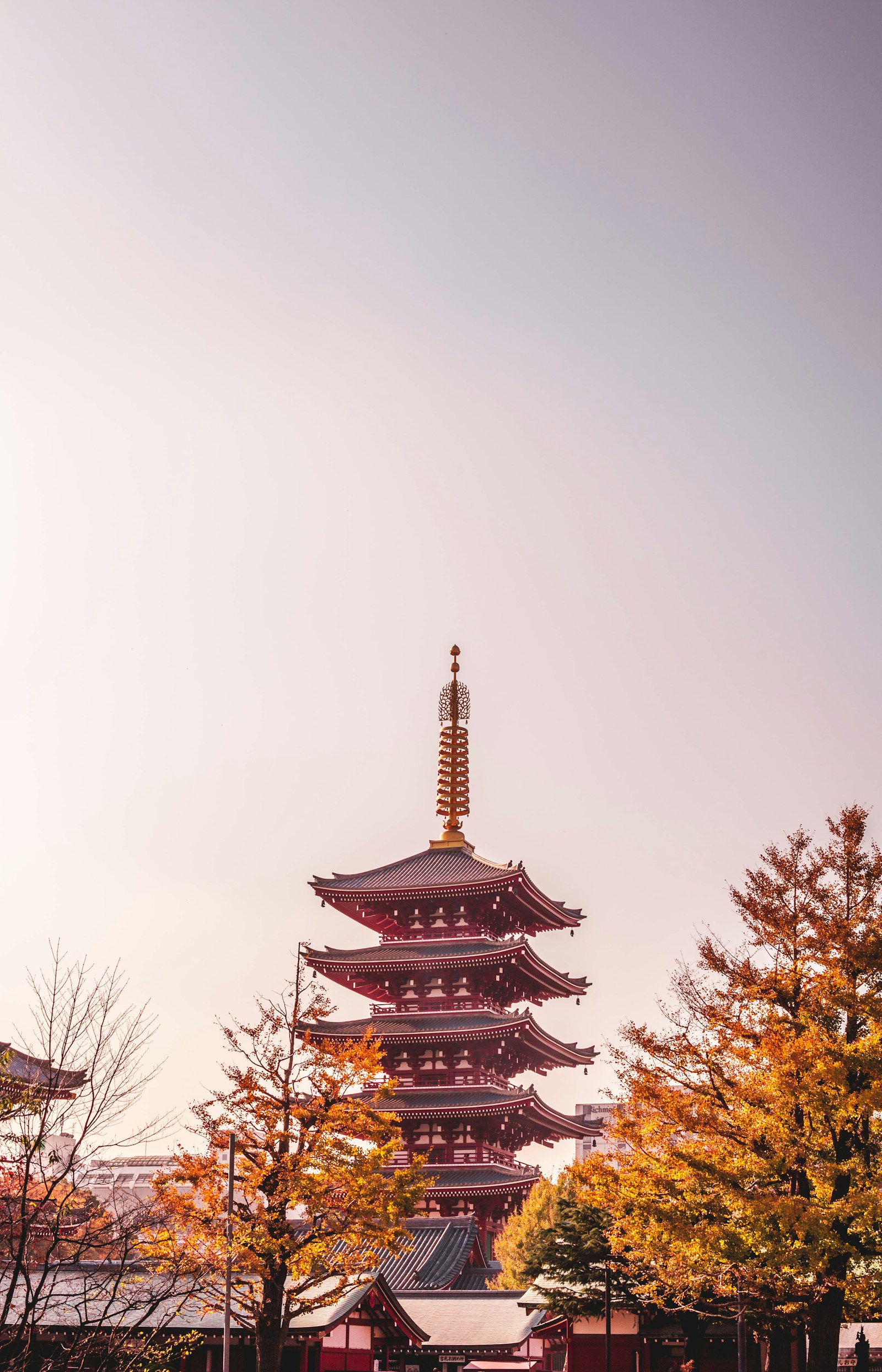浅草寺の風景